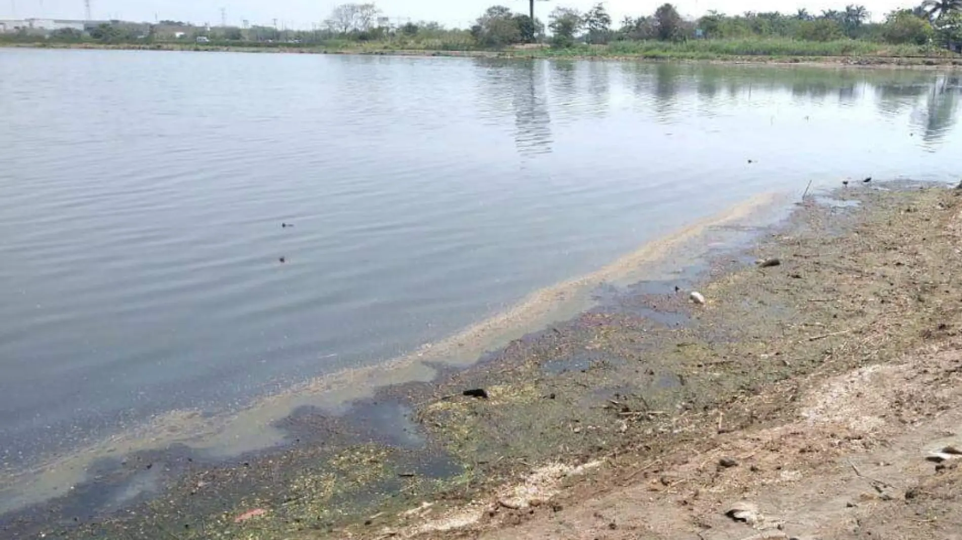 laguna olmeca